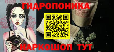 индика Абинск