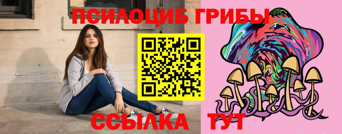 Галлюциногенные грибы Psilocybe  Вход с VPN  Галлюциногенные грибы Psilocybine cubensis  цены наркотик  Алейск 