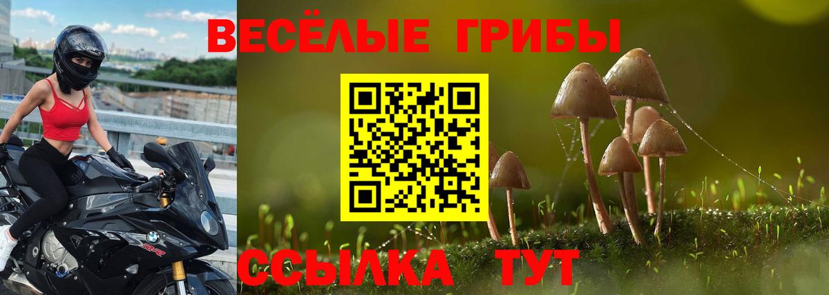 Галлюциногенные грибы ЛСД Алейск