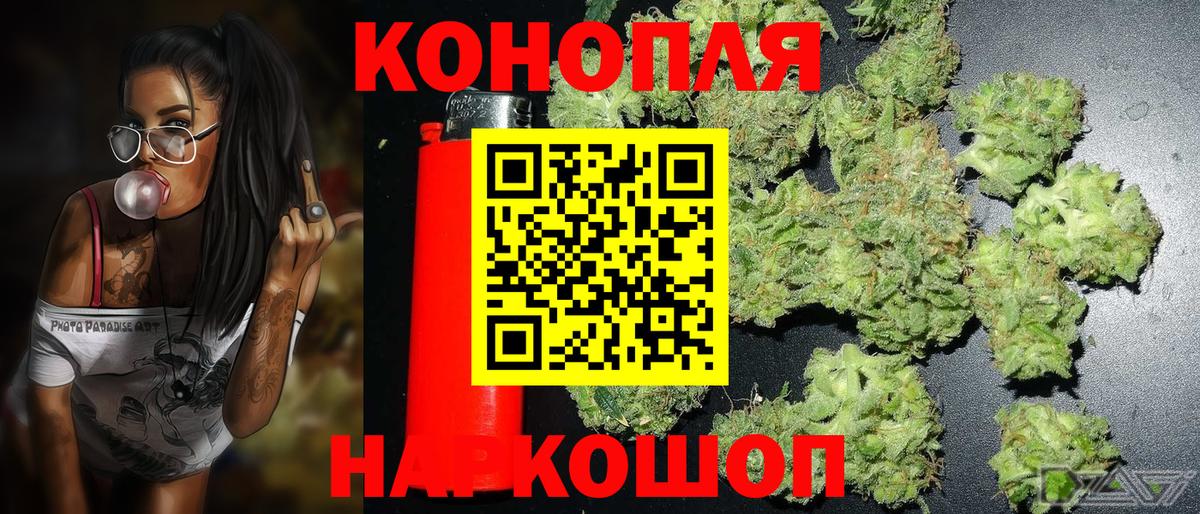 Бошки марихуана семена Алейск